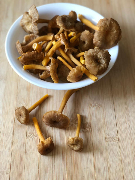 Fresh BC Winter Chanterelle (Yellowfoot) Mushrooms (Calgary AB Only)