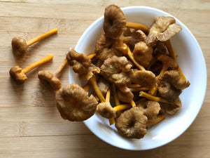 Fresh BC Winter Chanterelle (Yellowfoot) Mushrooms (Calgary AB Only)