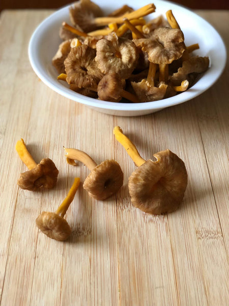 Fresh BC Winter Chanterelle (Yellowfoot) Mushrooms (Calgary AB Only)