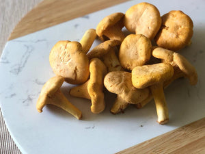 Fresh Golden Chanterelle Mushrooms (Sask)