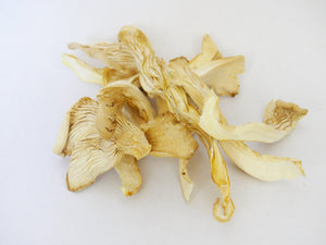 Dried Elm Oyster Mushrooms, Organic (Sliced)