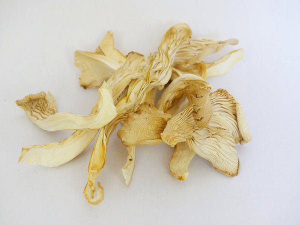 Dried Elm Oyster Mushrooms, Organic (Sliced)