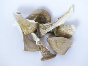 Dried Blue Oyster Mushrooms, Organic (Sliced)