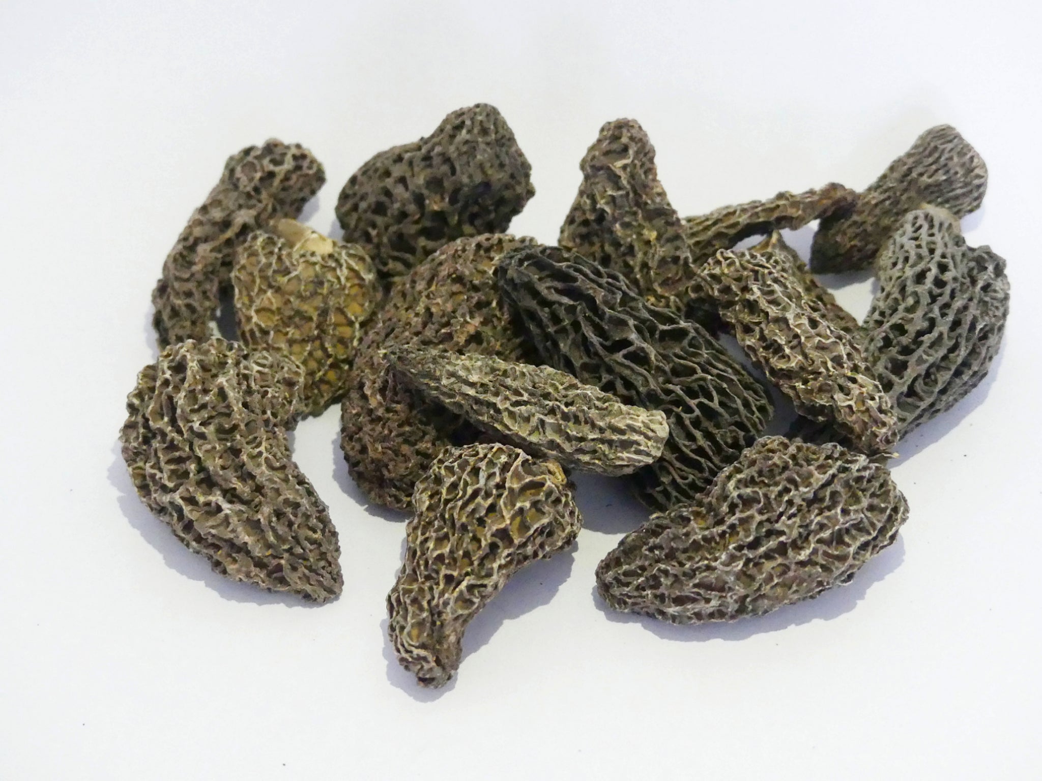 Dried Canadian Morels, Grade A size (4-7cm)
